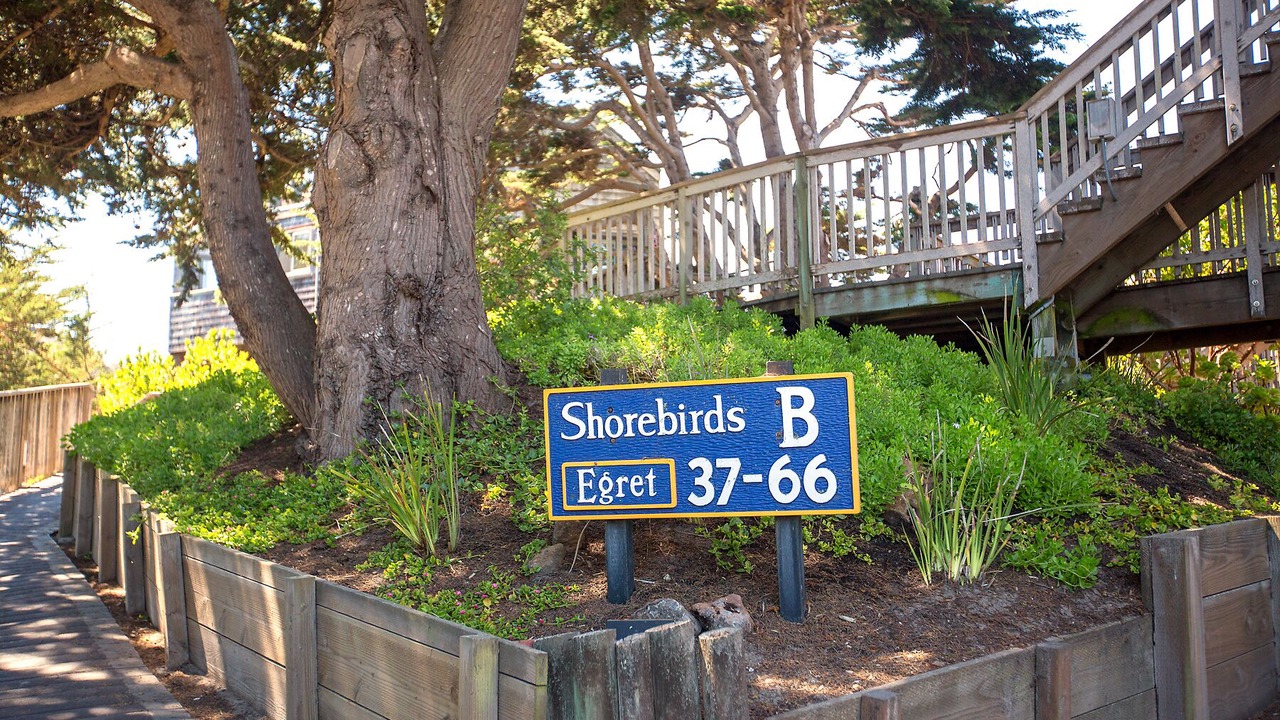 Photo of Outdoor in Pajaro Dunes