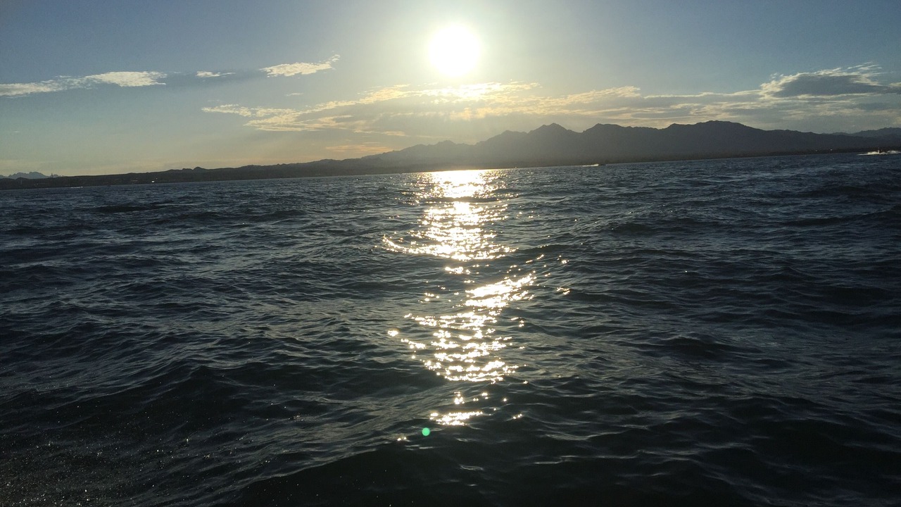 Photo of Others in Lake Havasu City