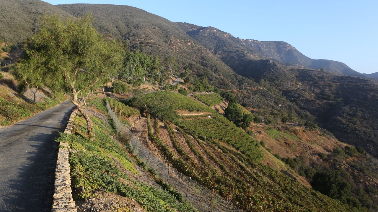Photo of Outdoor in Malibu