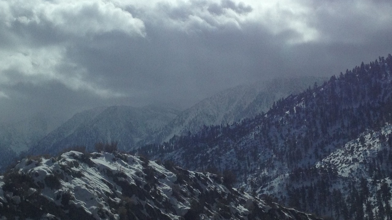 Photo of Others in Gardnerville Ranchos