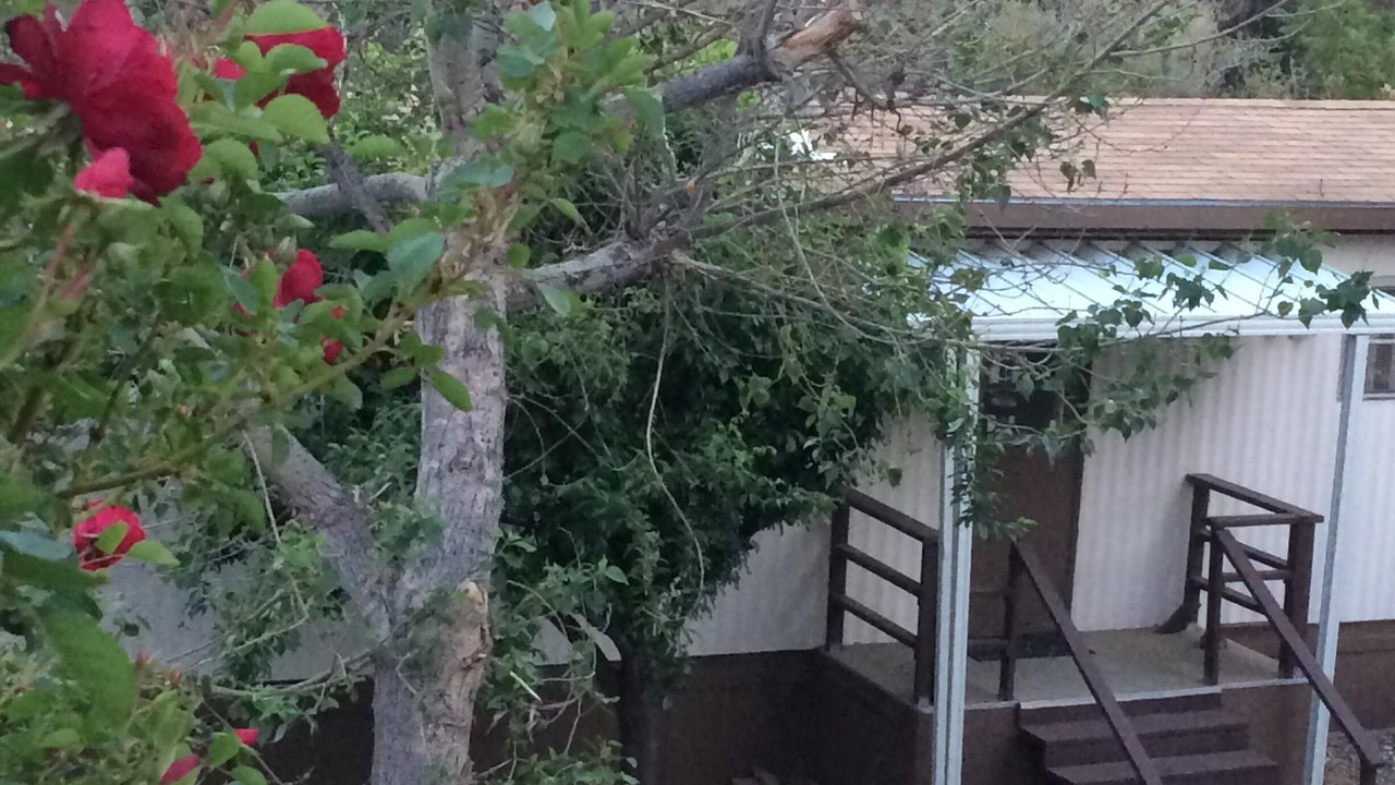Photo of Outdoor in Wofford Heights
