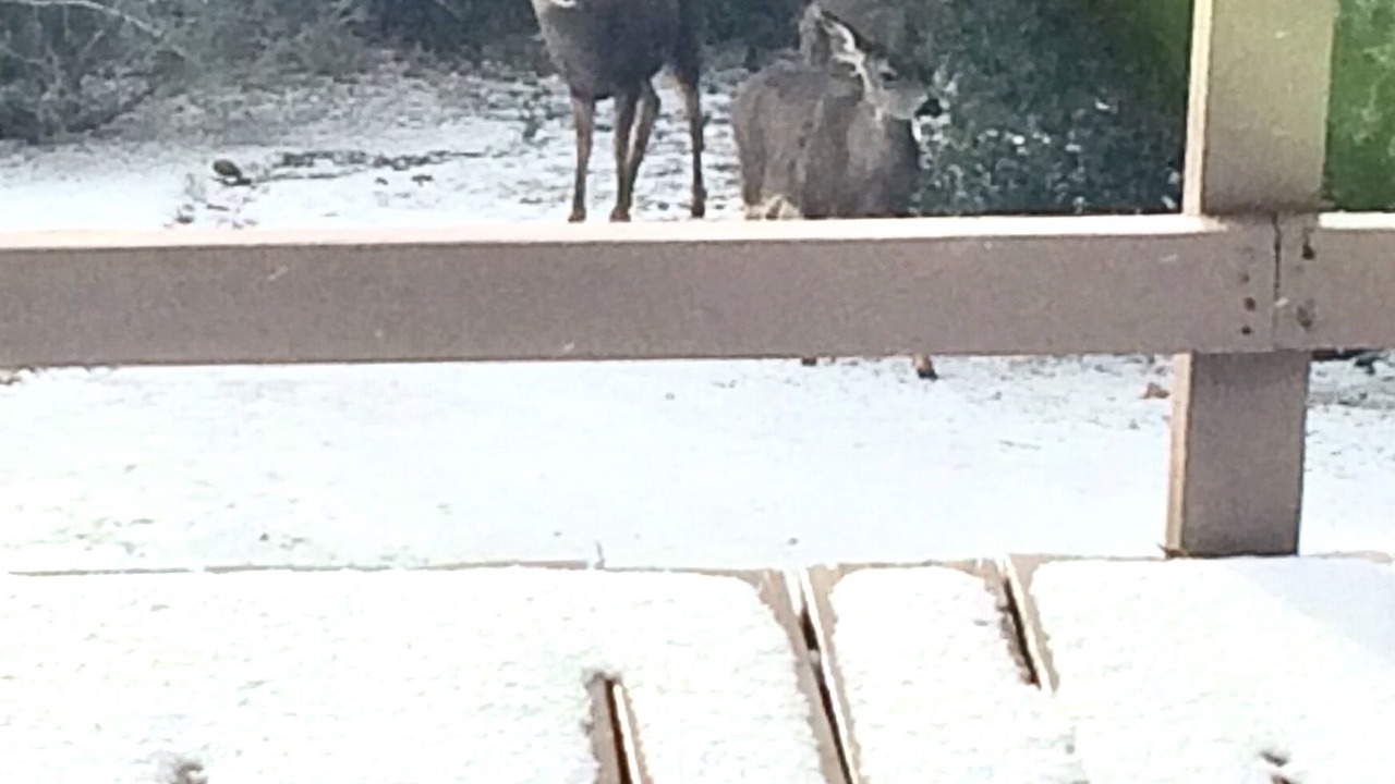 Photo of Others in Wofford Heights