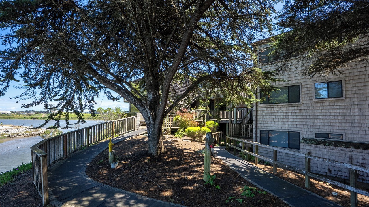 Photo of Outdoor in Watsonville