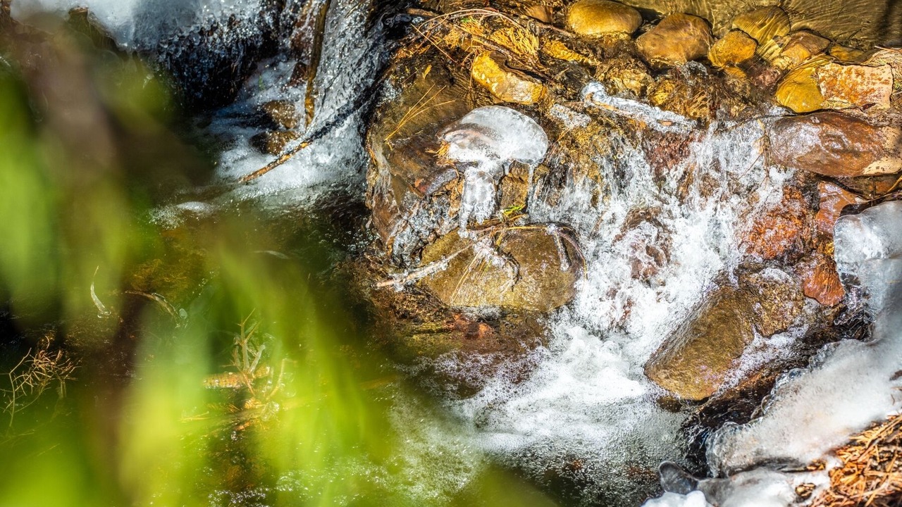 Photo of Others in Incline Village