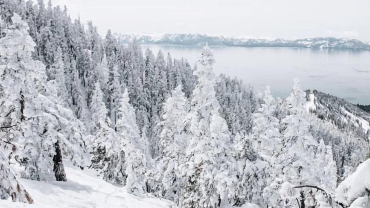 Photo of Outdoor in Incline Village
