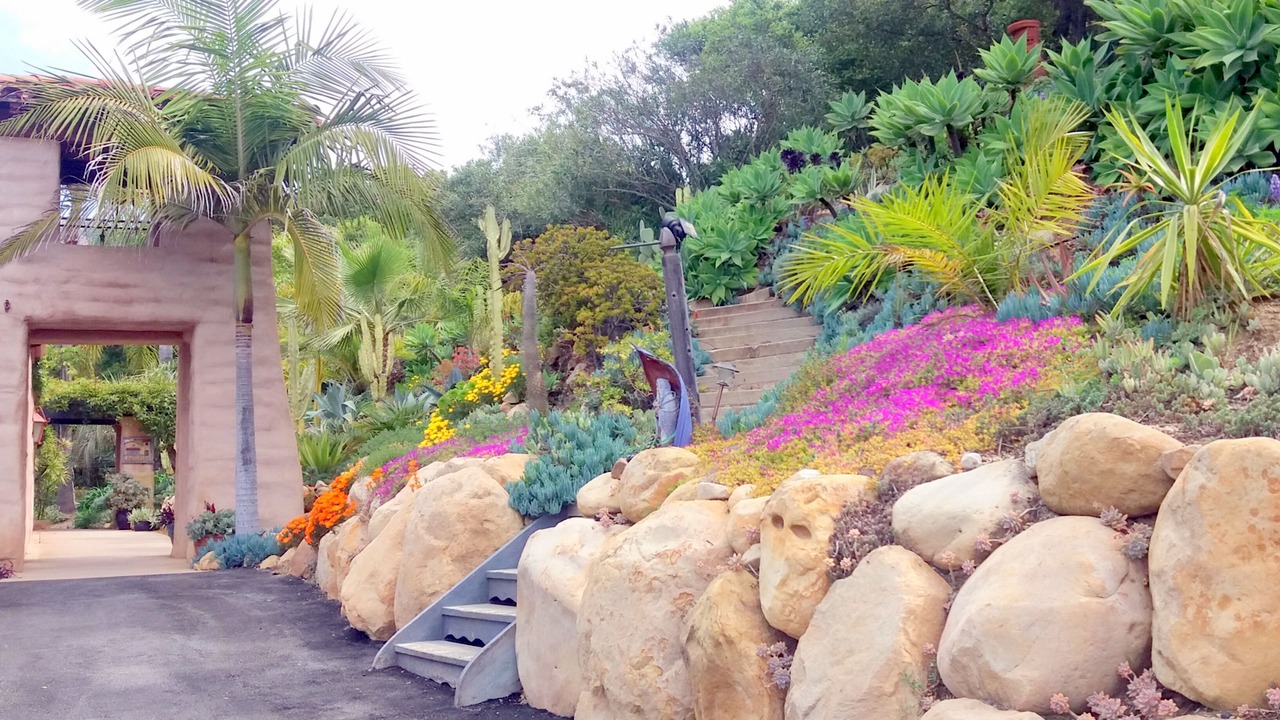 Photo of Others in Mission Canyon