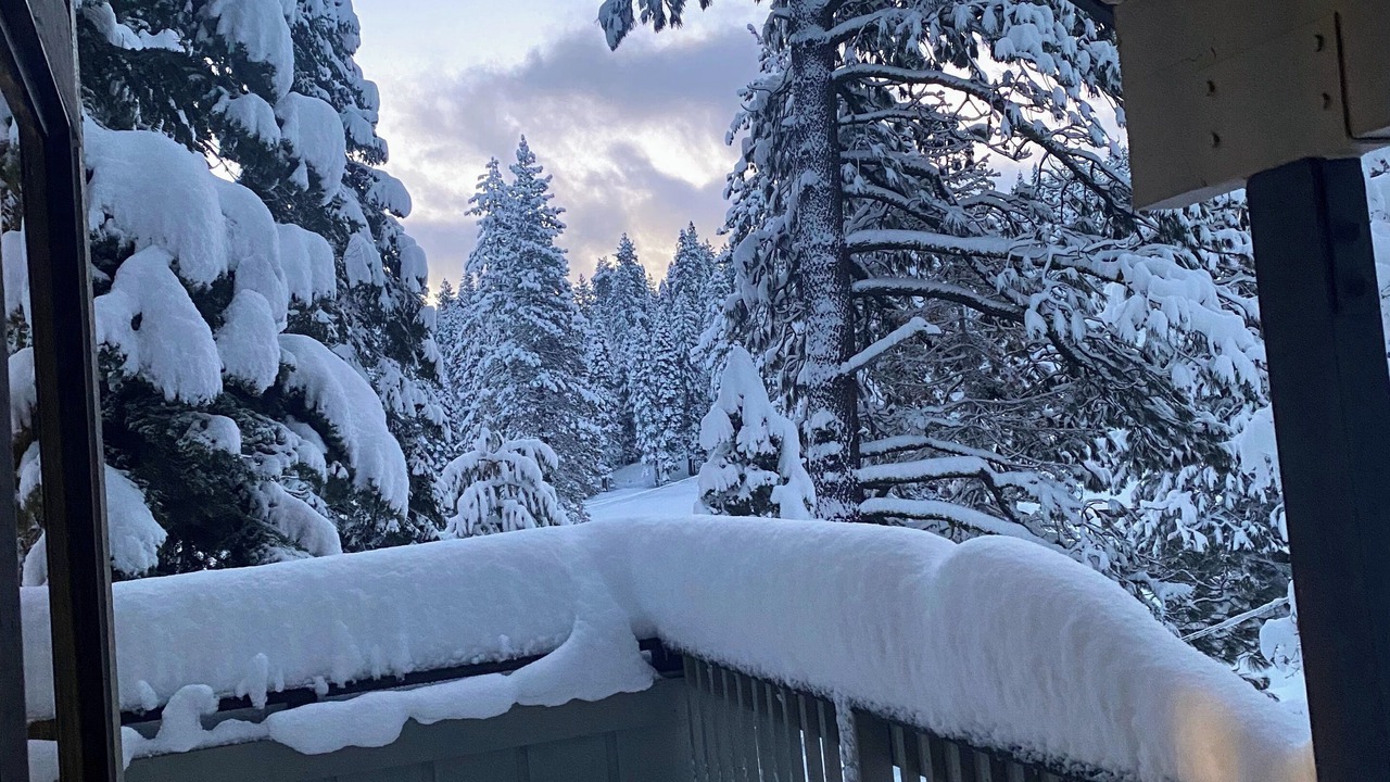 Photo of Outdoor in Tahoe Woods