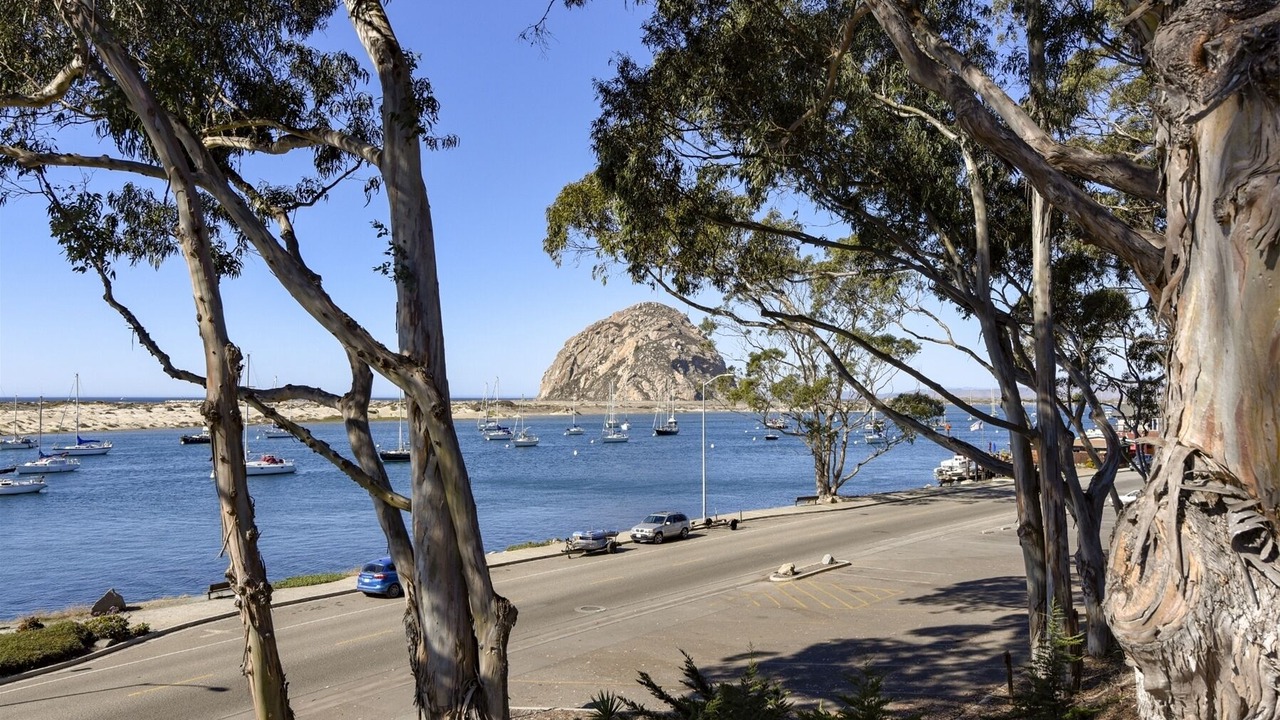 Photo of Others in Morro Bay