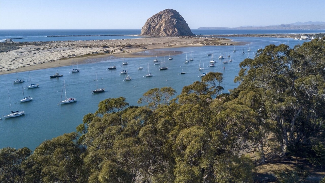 Photo of Others in Morro Bay