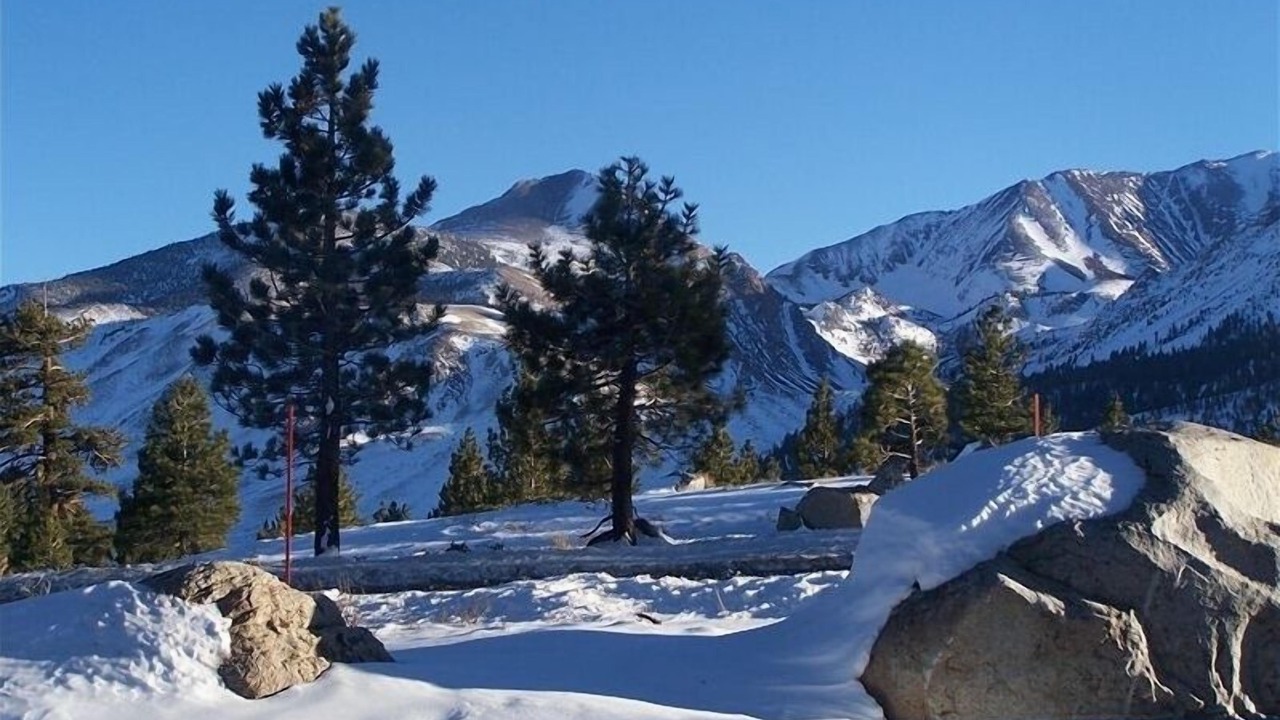 Photo of Others in Mammoth Lakes