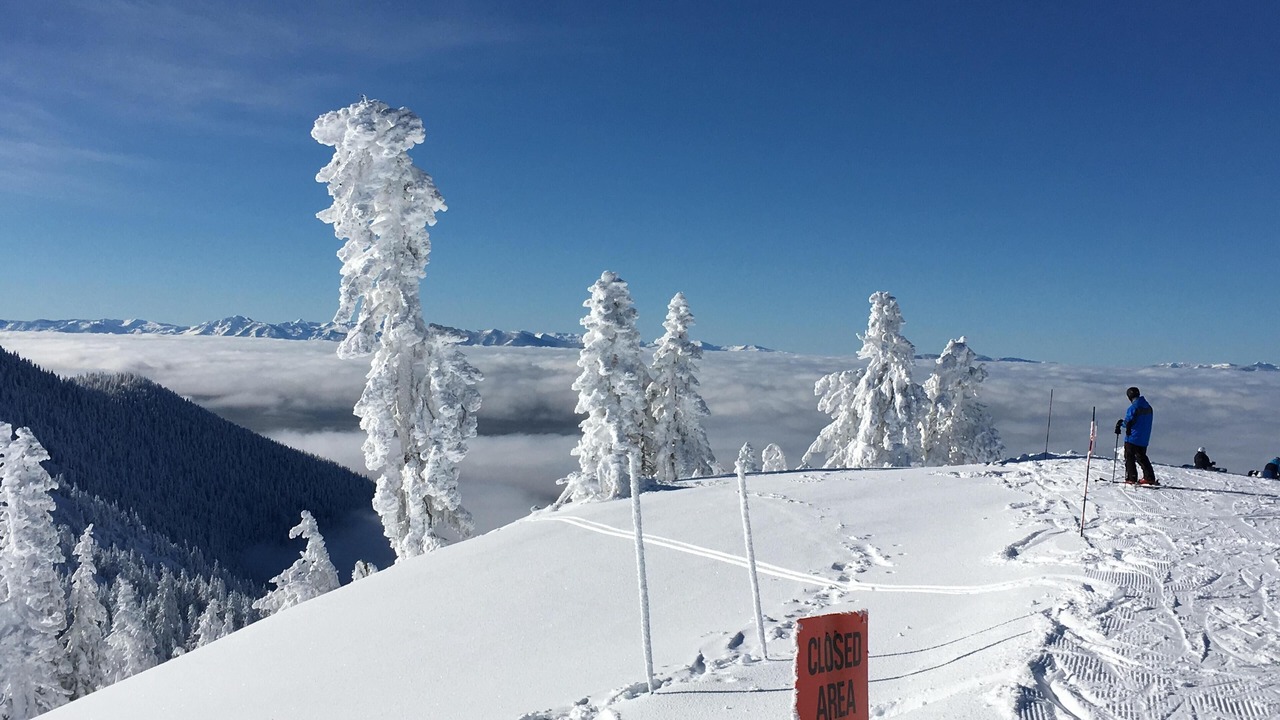 Photo of Others in Incline Village