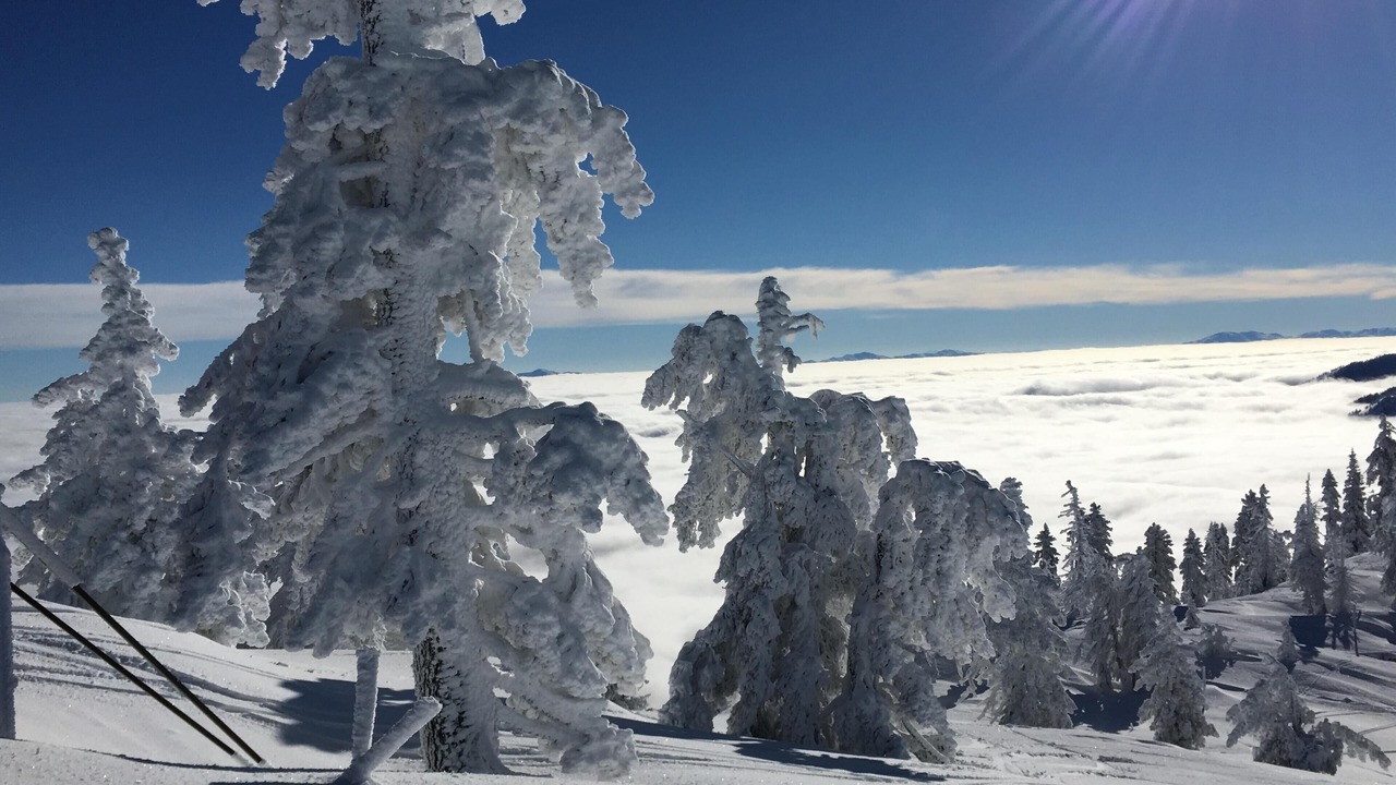 Photo of Others in Incline Village