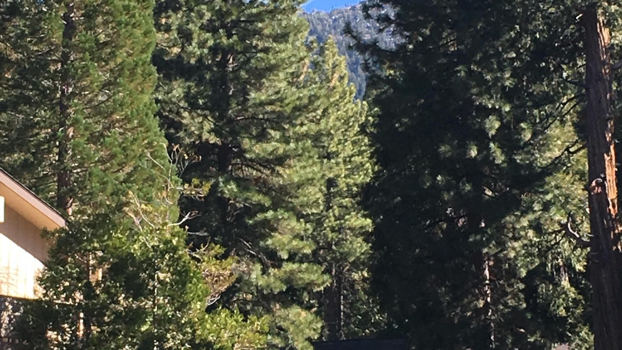 Photo of Others in Incline Village