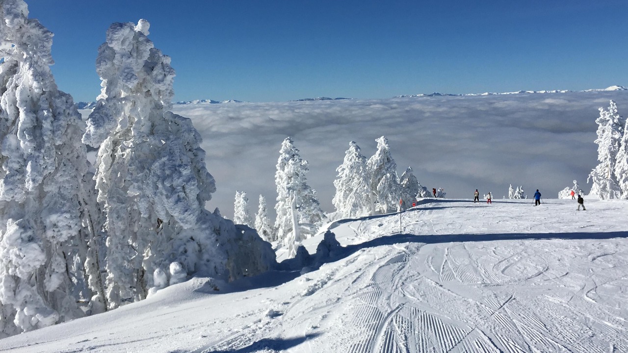 Photo of Others in Incline Village