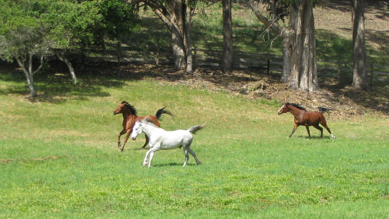 Photo of Outdoor in Bolinas