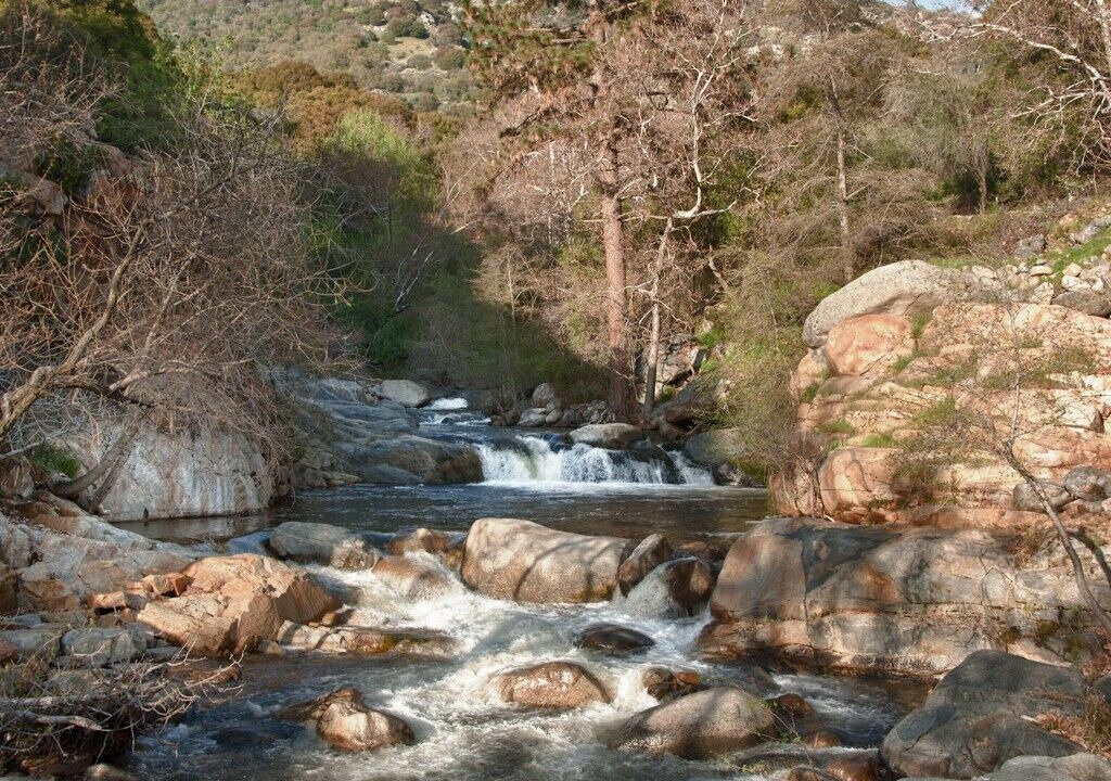Photo of Others in Three Rivers