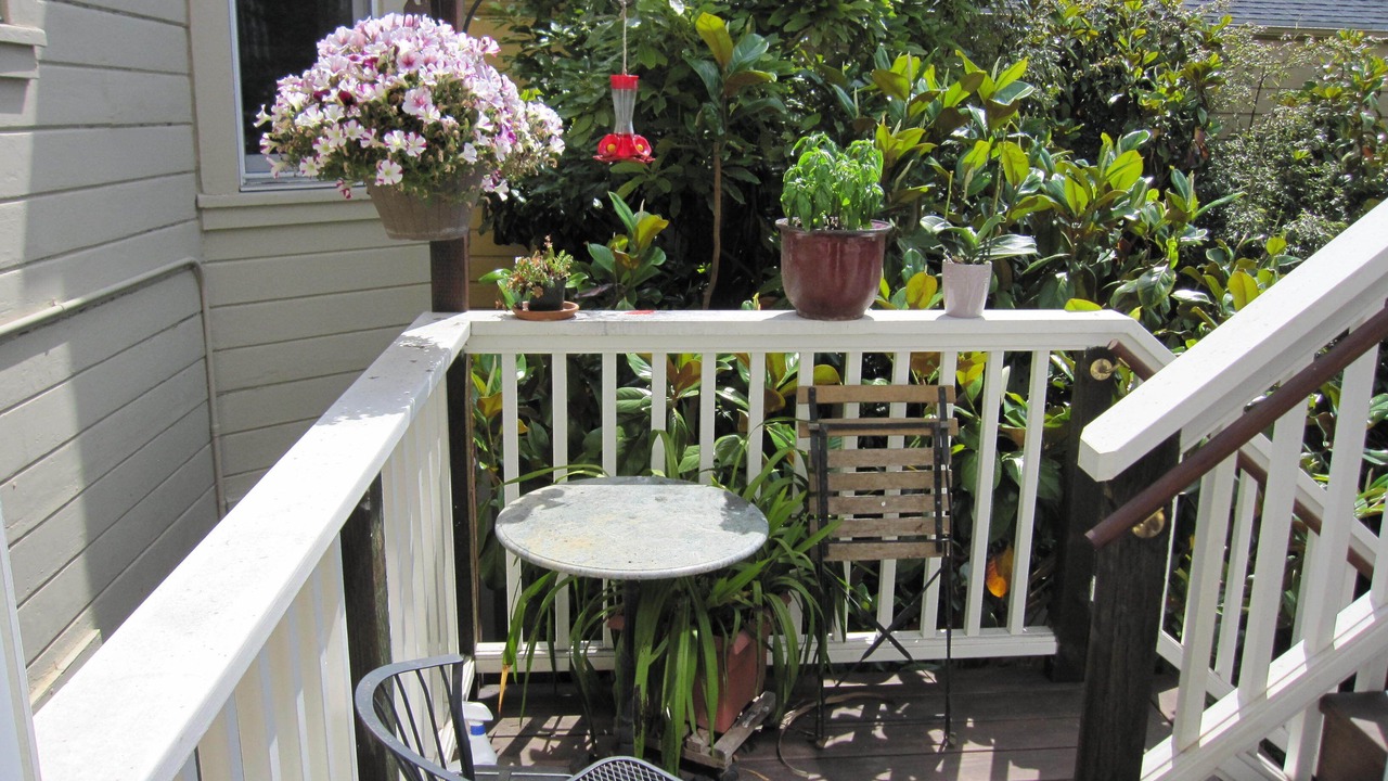 Photo of Outdoor in Pacific Heights