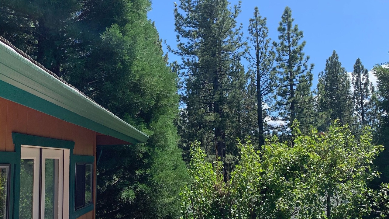Photo of Others in Pioneer Trail