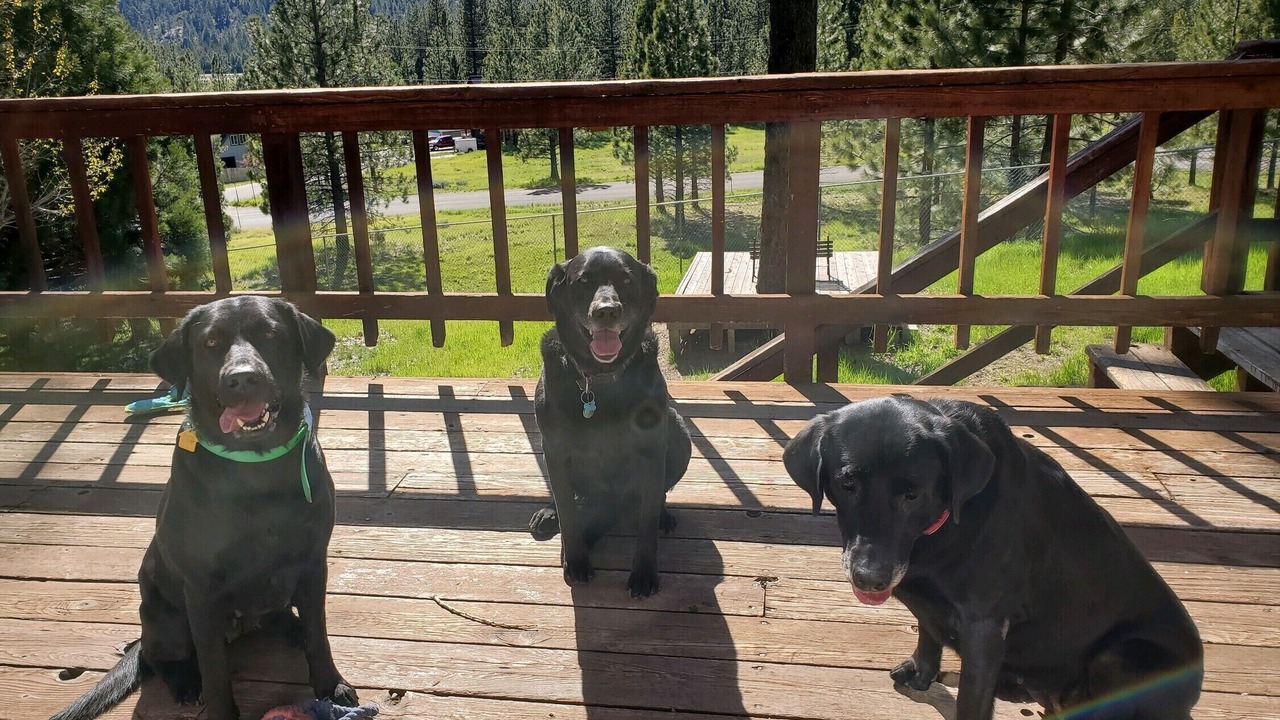Photo of Others in Pioneer Trail