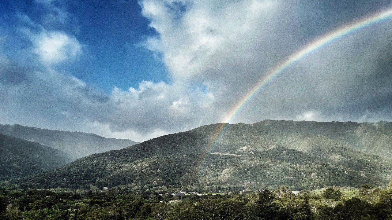 Photo of Others in Carmel Valley