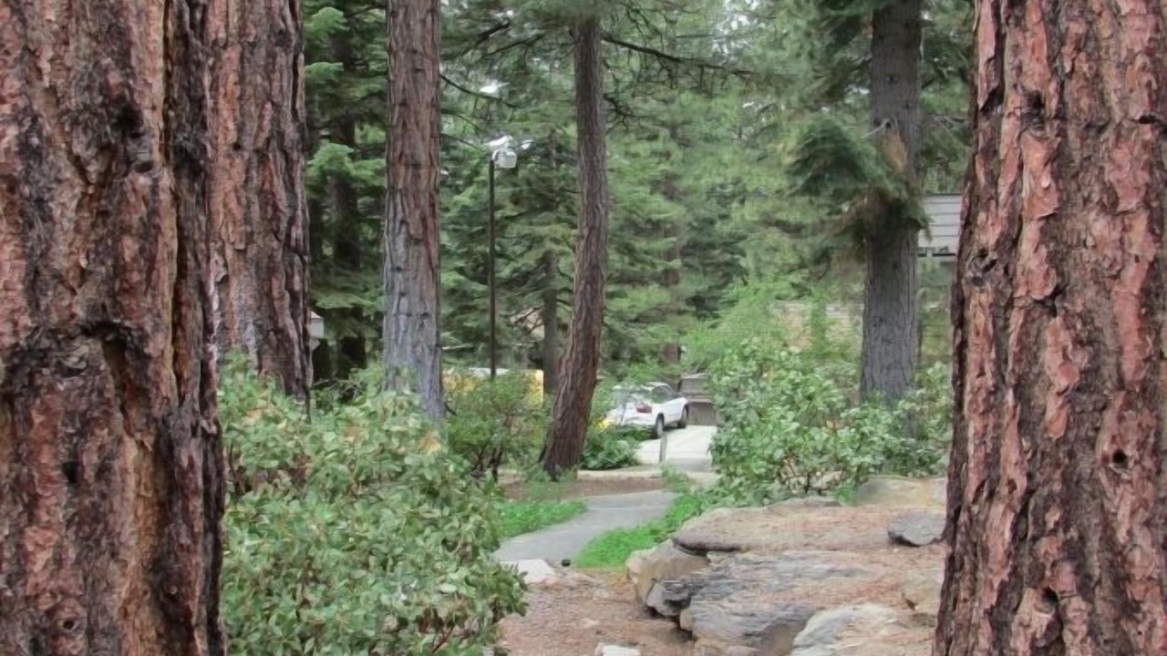 Photo of Others in Incline Village