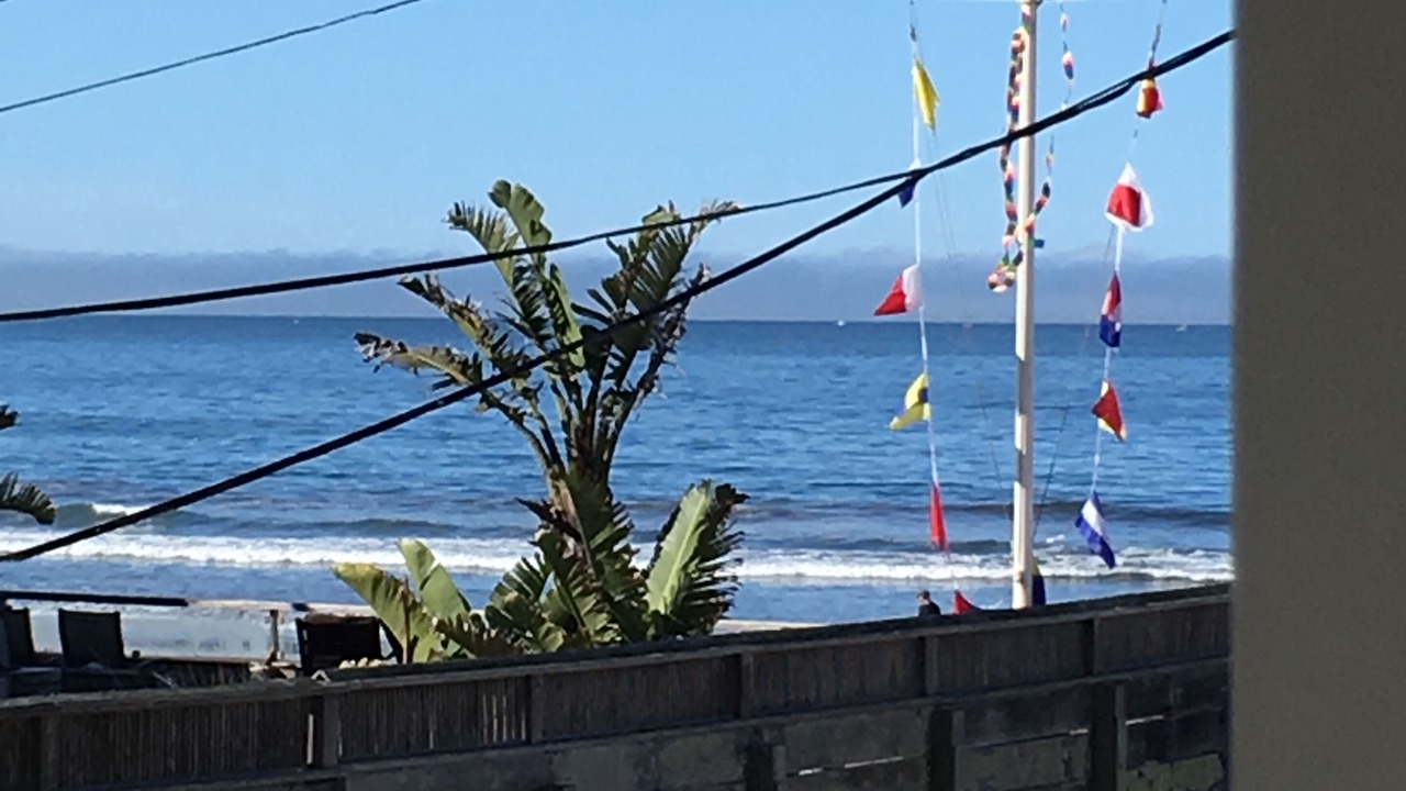 Photo of Others in Stinson Beach