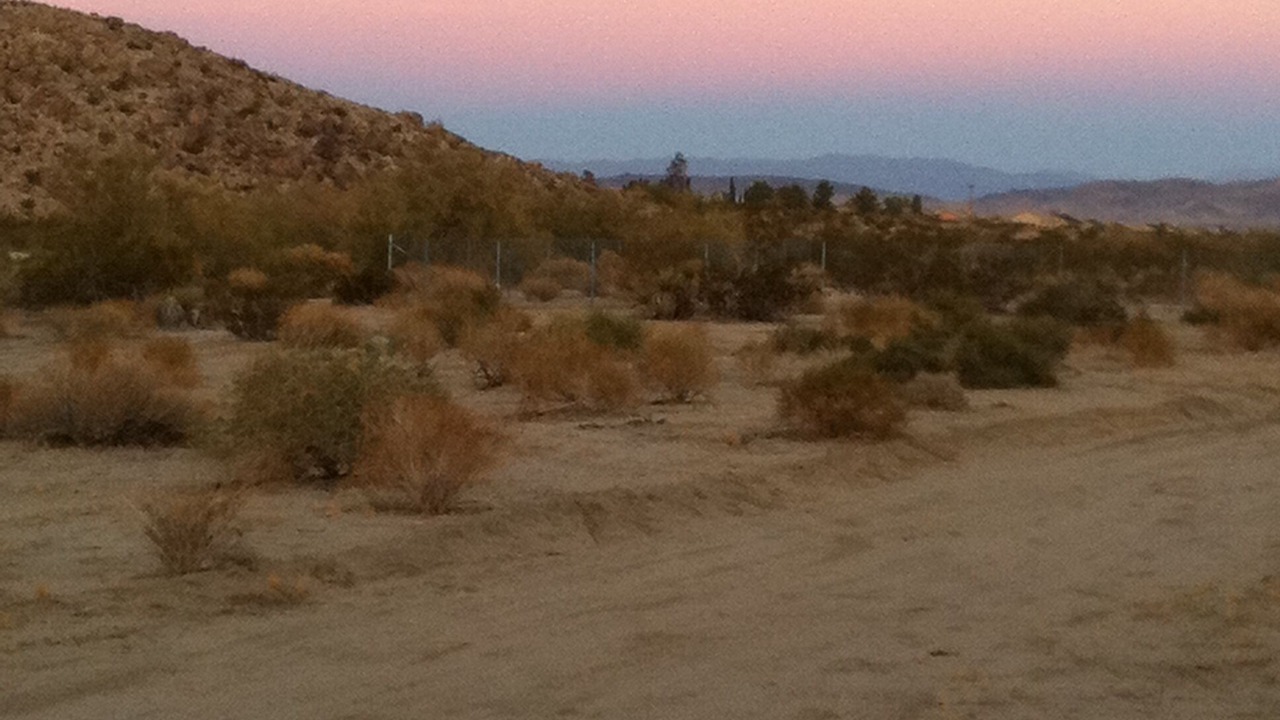 Photo of Others in Joshua Tree