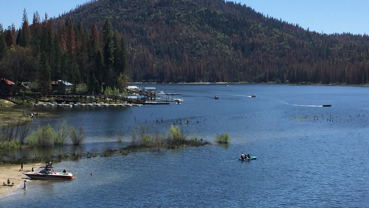 Photo of Outdoor in Bass Lake