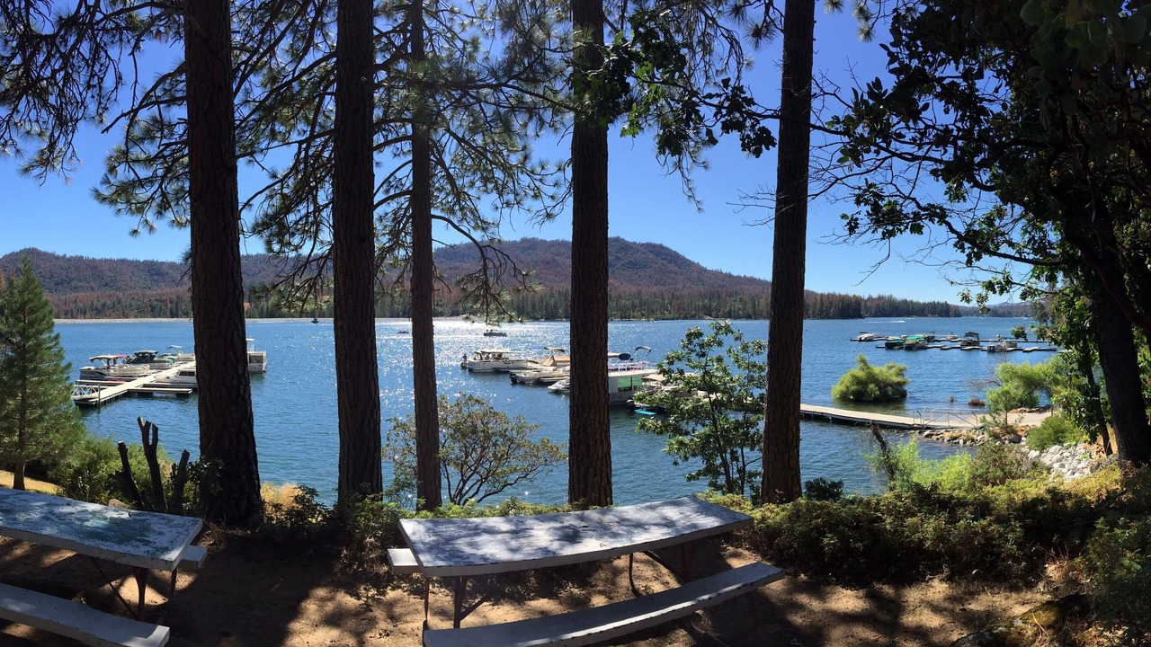 Photo of Others in Bass Lake