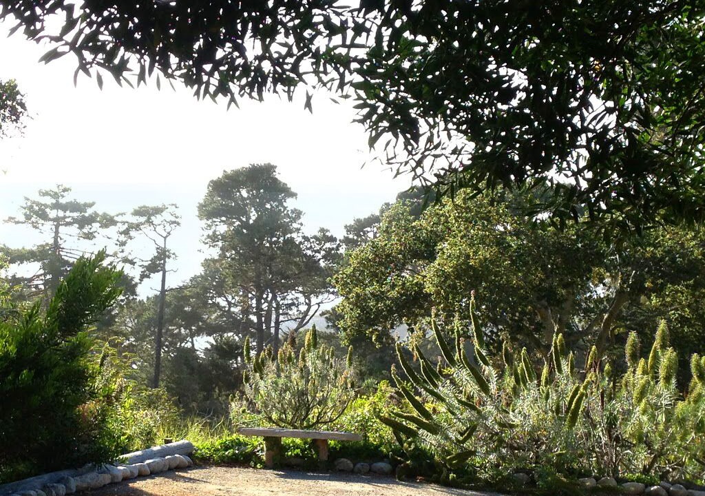Photo of Outdoor in Carmel Highlands