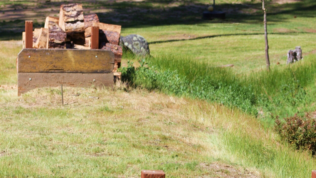 Photo of Others in Nevada City