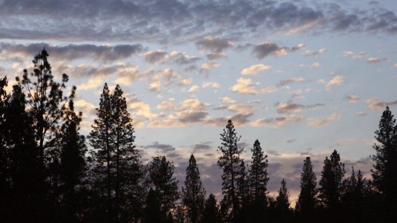 Photo of Outdoor in Nevada City