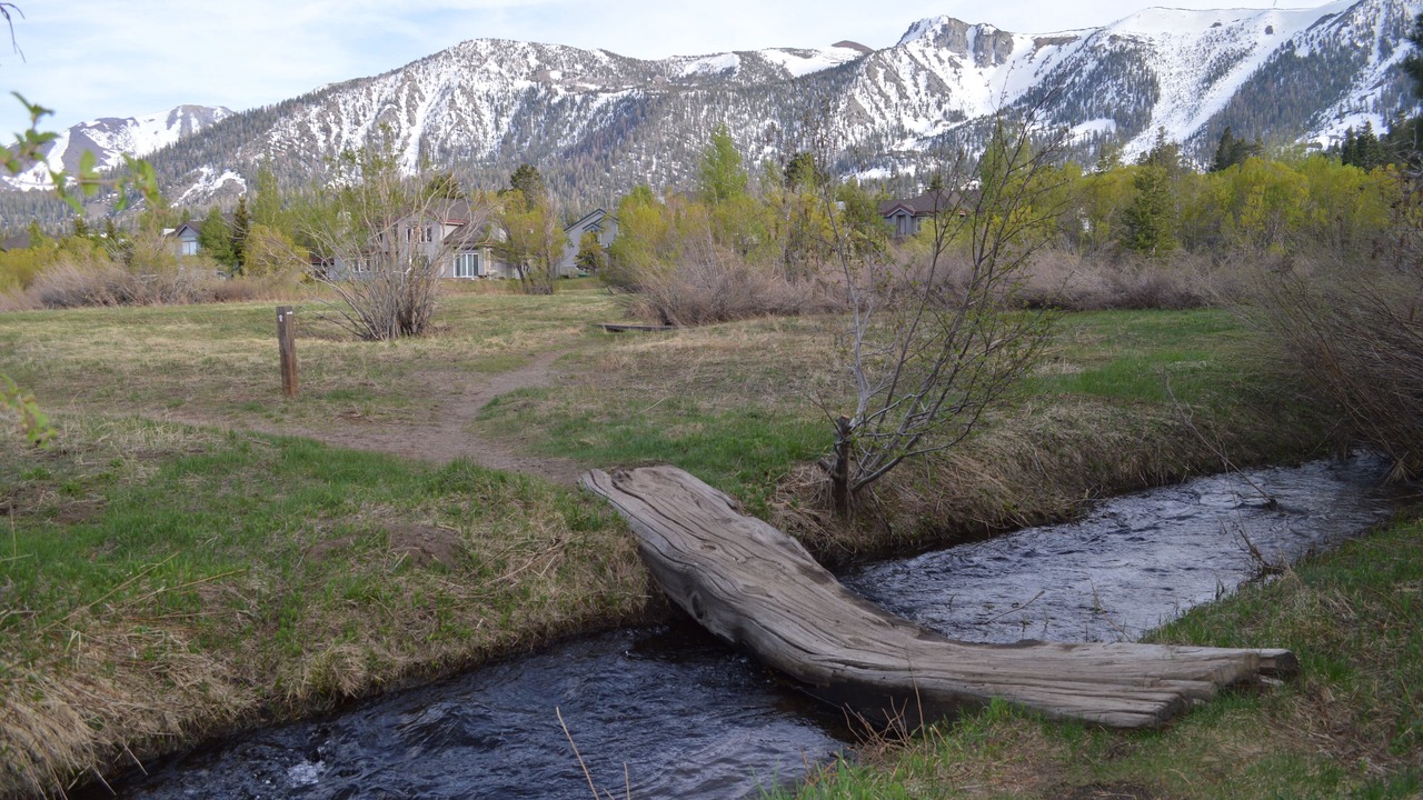 Photo of Others in Mammoth Lakes