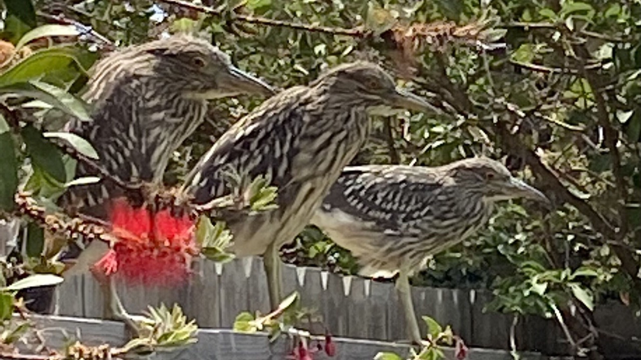 Photo of Outdoor in Morro Bay