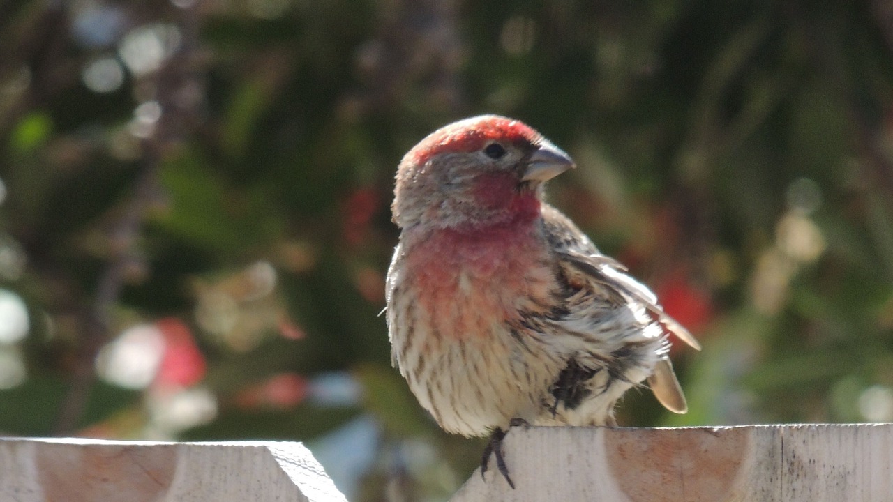 Photo of Outdoor in Morro Bay