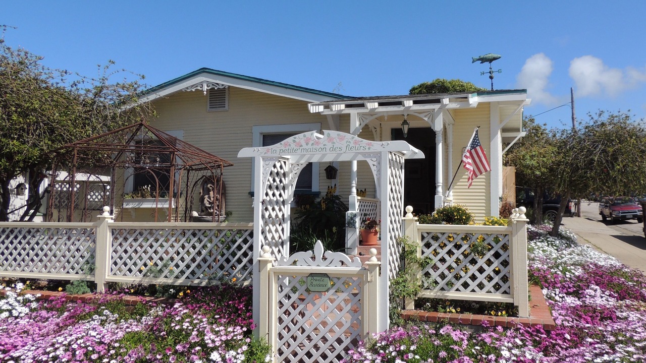 Photo of Others in Morro Bay