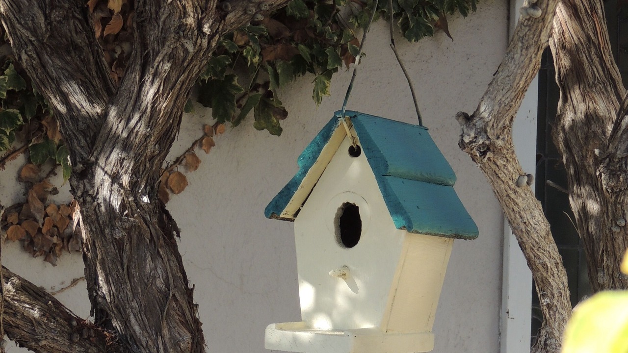 Photo of Others in Morro Bay