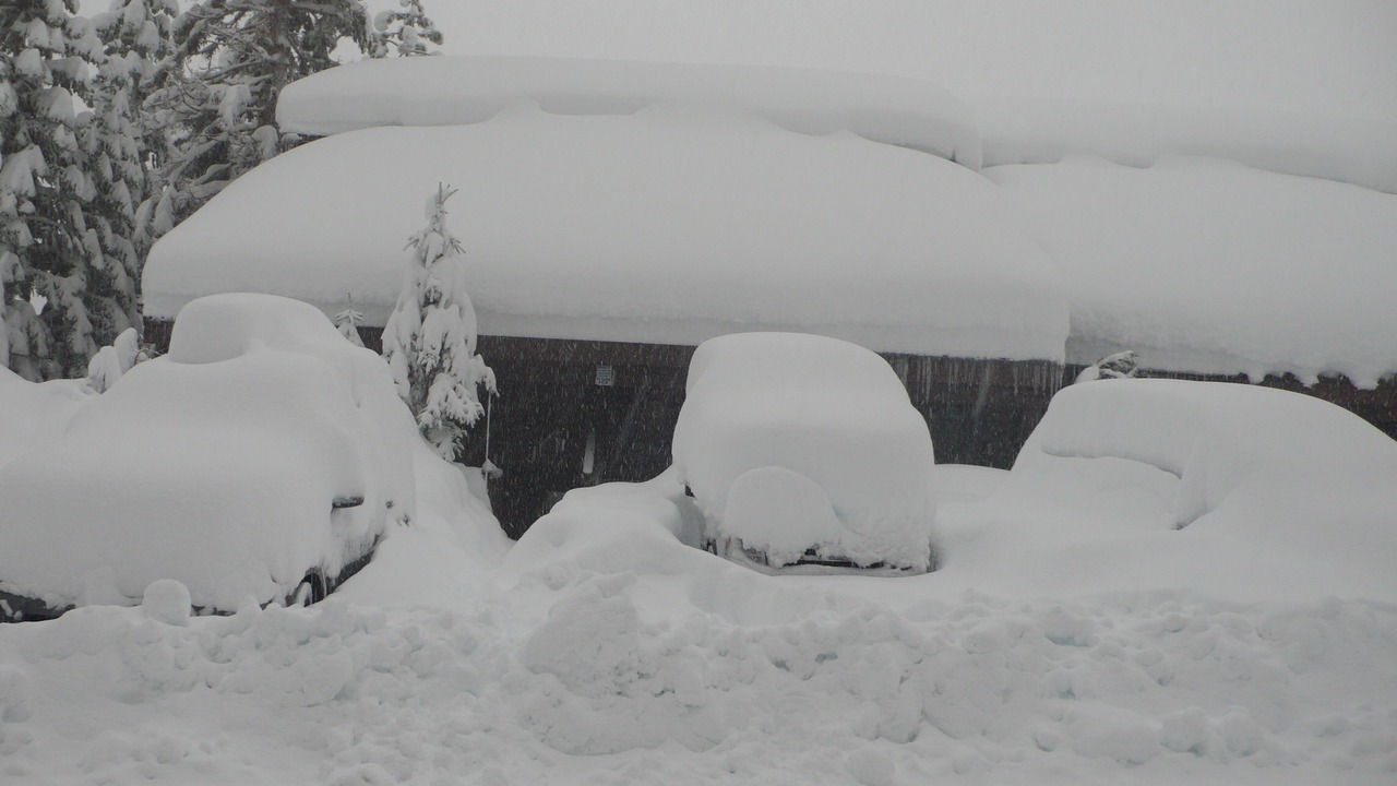 Photo of Others in Mammoth Lakes