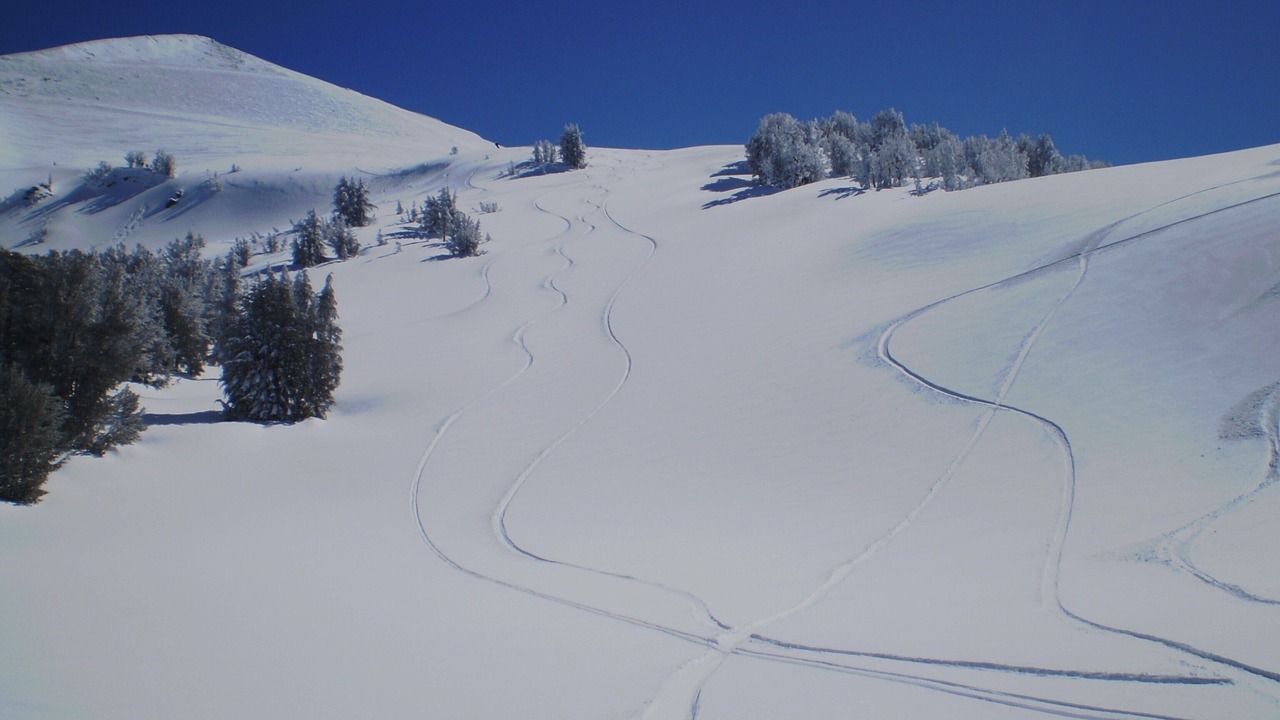 Photo of Others in Mammoth Lakes