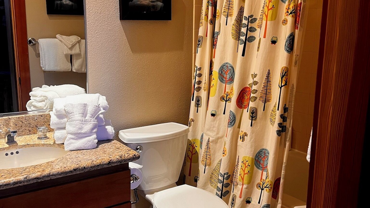 Photo of Bathroom in Mammoth Lakes