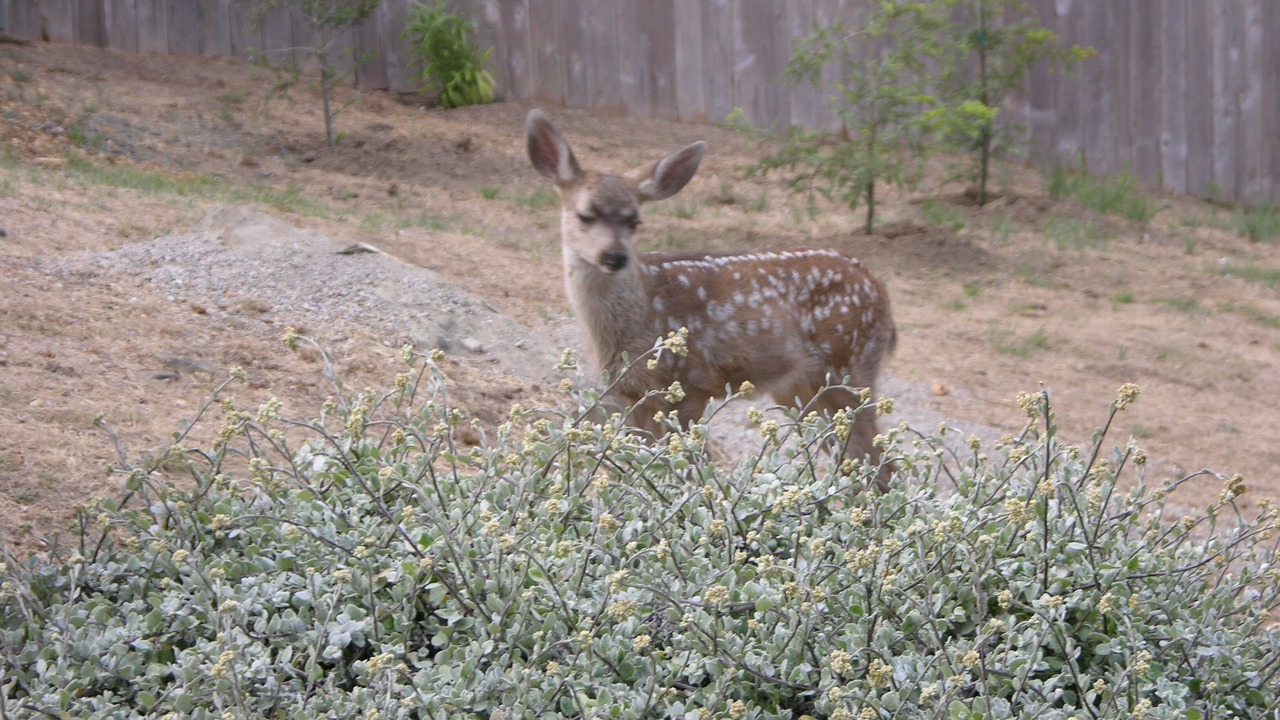 Photo of Others in Park Hill