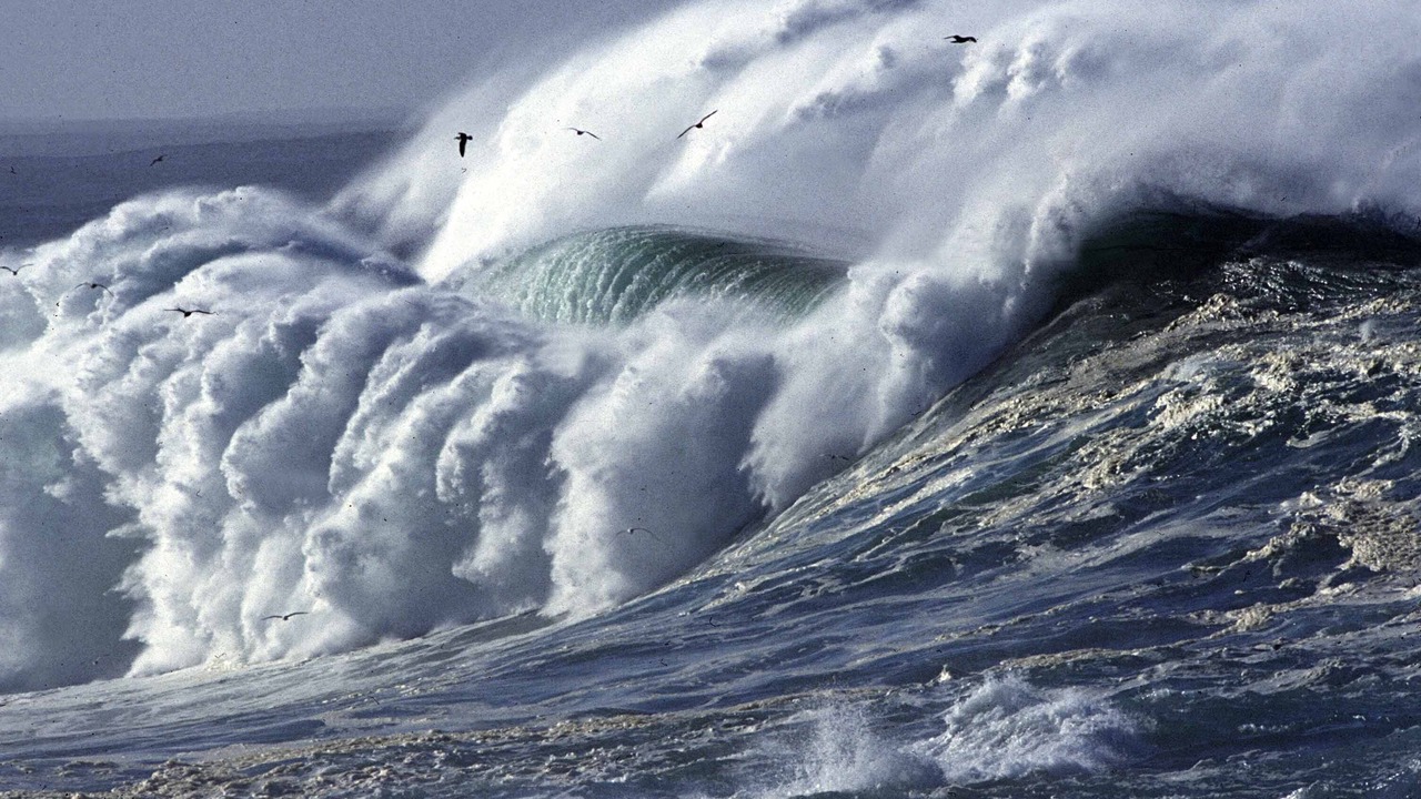 Photo of Others in Carmel Riviera