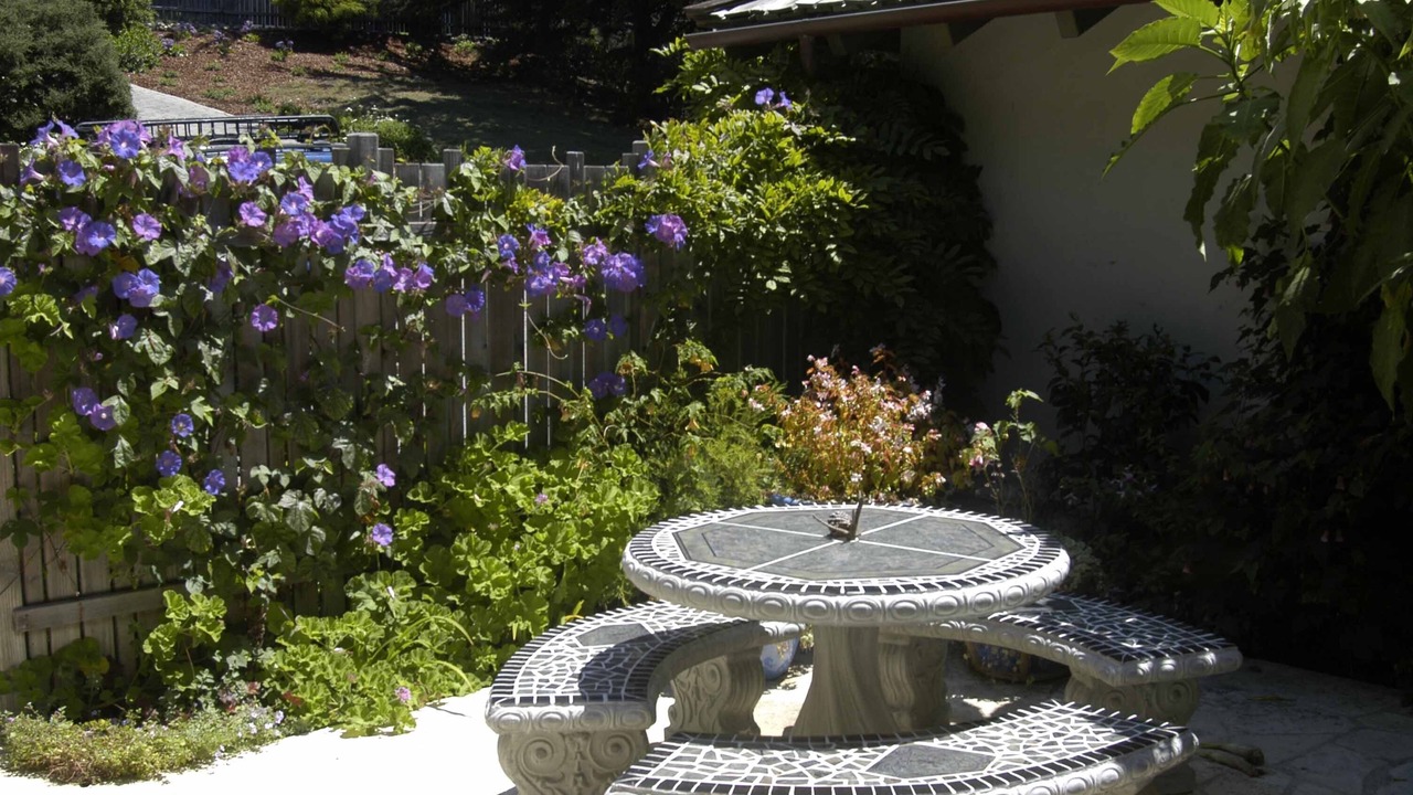 Photo of Outdoor in Carmel Riviera
