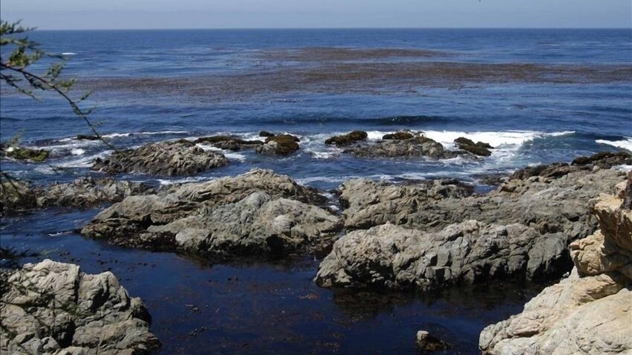 Photo of Others in Carmel Riviera