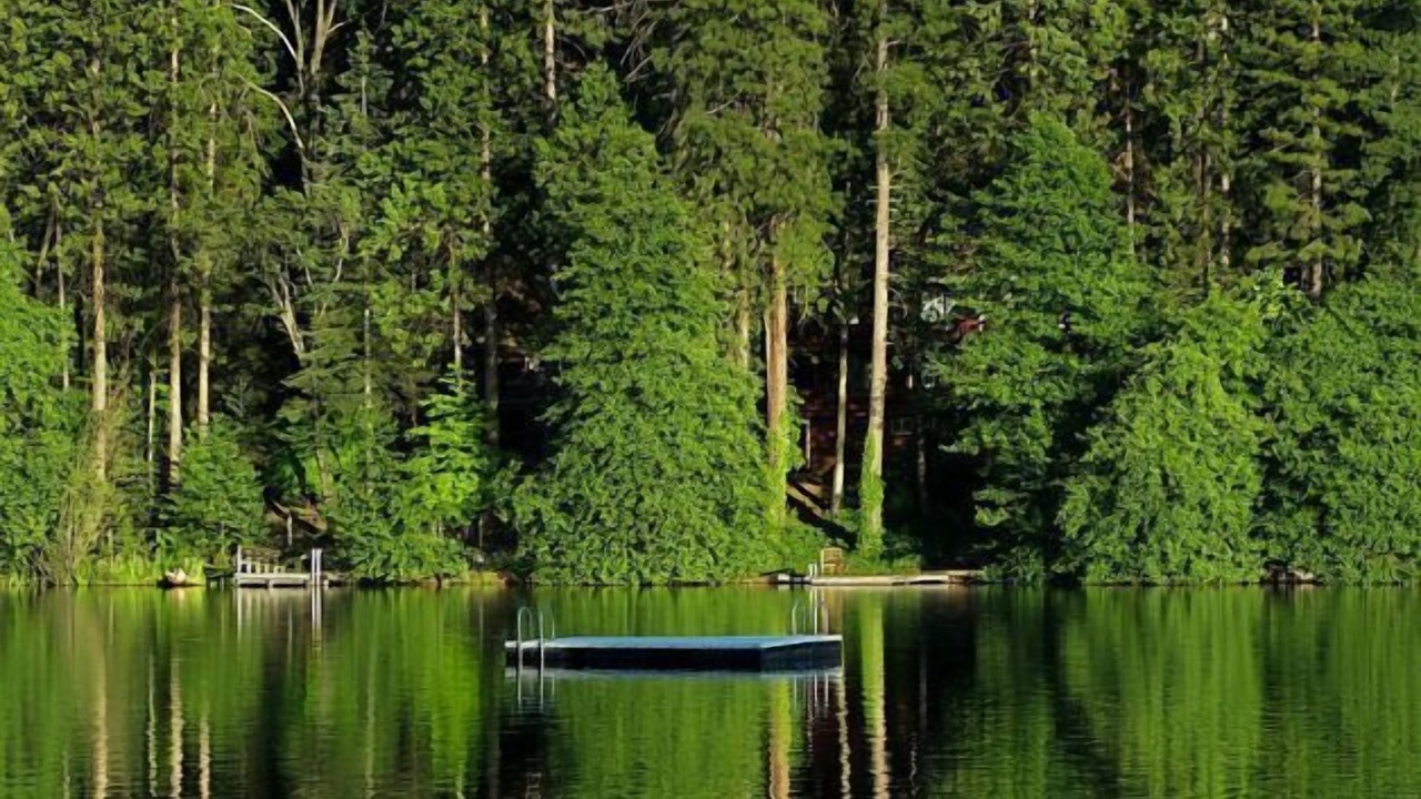 Photo of Outdoor in Twain Harte