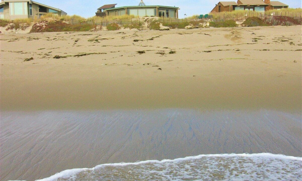 Photo of Others in Watsonville