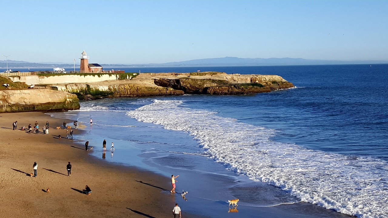 Photo of Others in Westside Santa Cruz
