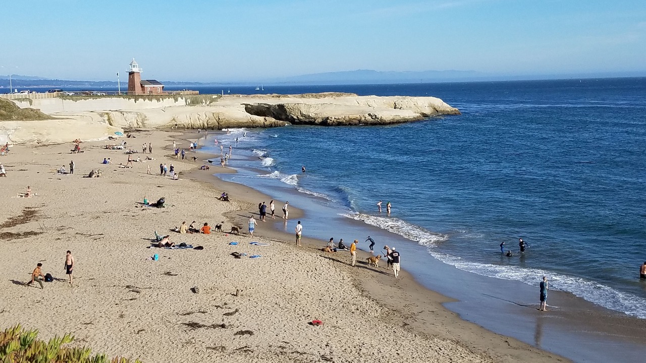 Photo of Others in Westside Santa Cruz