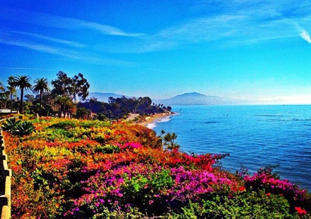 Photo of Others in Montecito