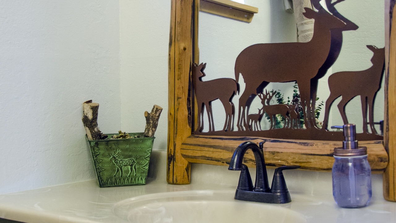 Photo of Bathroom in South Lake Tahoe
